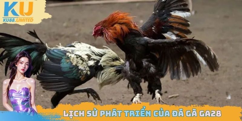 Đá Gà GA28 Ku88 - Sân Chơi Hấp Dẫn Cần Phải Tham Gia Ngay 1 Lịch sử phát triển của đá gà GA28
